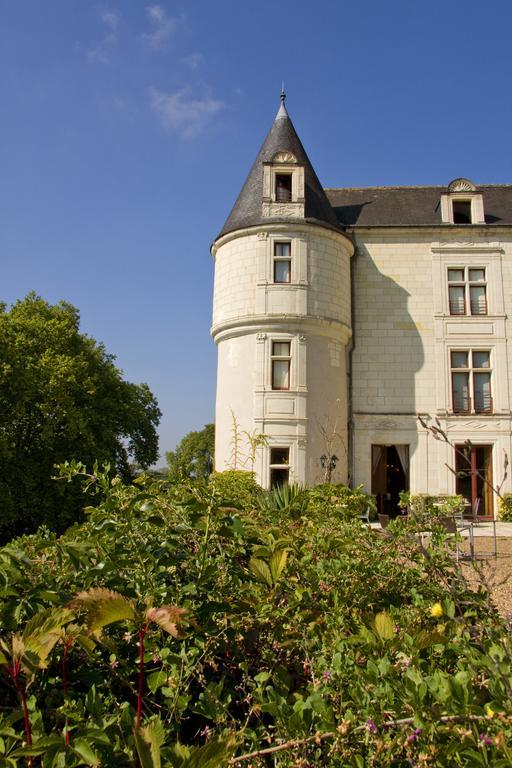 Chateau De Chissay, Hotel De Charme Pres De Chenonceau Et Le Zoo De Beauval Bagian luar foto